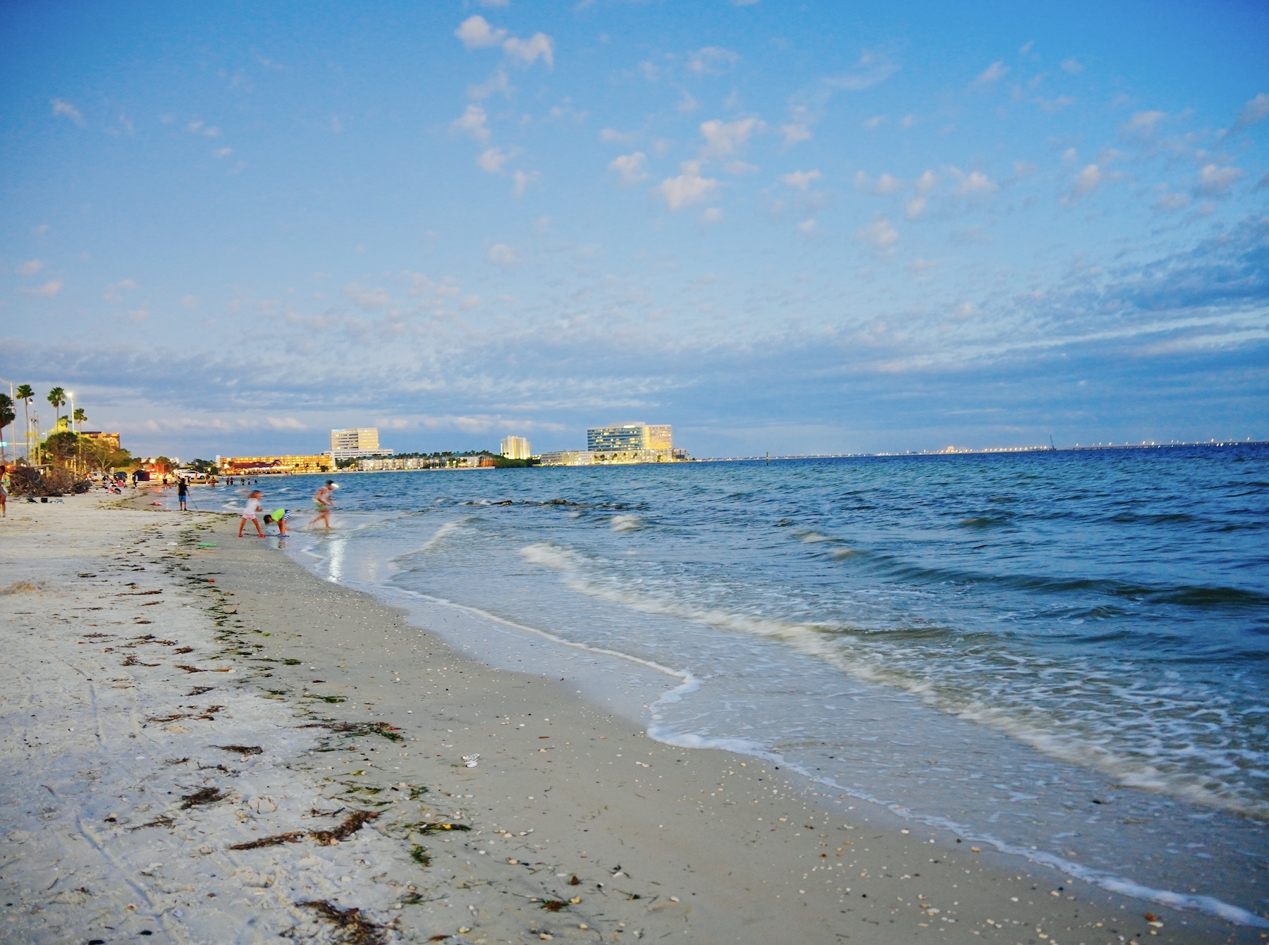 Tampa Florida sunset beach landscape
